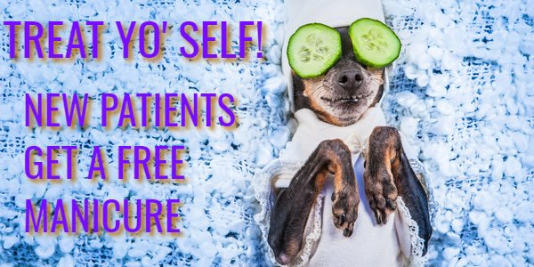 Treat Yo’ Self On Us! New Patients Get a Free Gift.