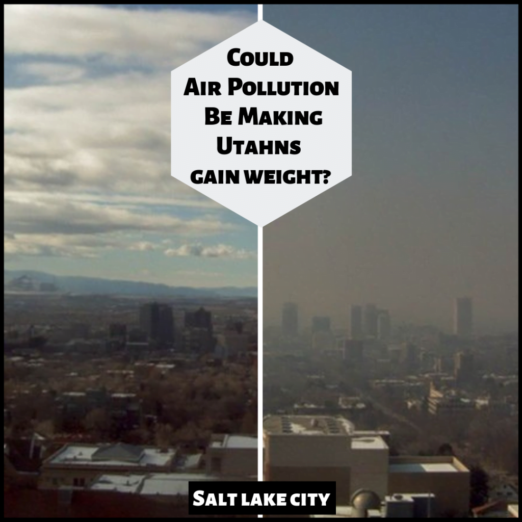 Air Pollution
